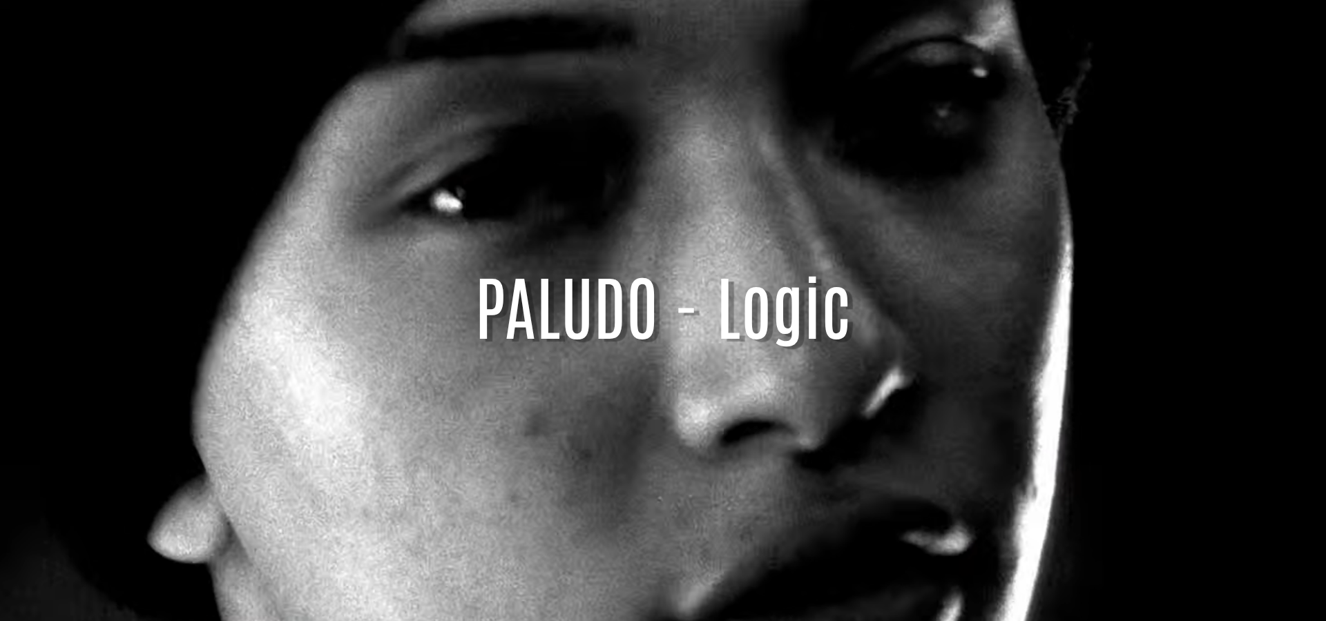 PALUDO - Logic
